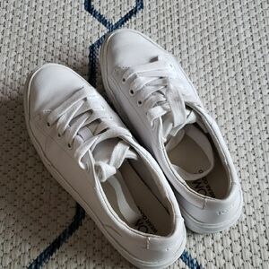 White TOMS Sneakers
